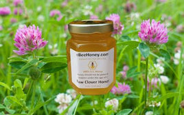 Raw clover honey, fresh clover honey direct from a beekeeper.