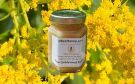 Raw goldenrod honey, buy direct from a beekeeper.