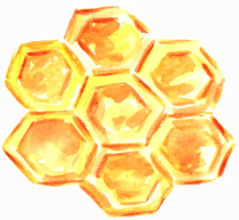 eBeeHoney top sellers for raw honey, beeswax, bee pollen, honey straws, propolis, handmade soaps, comb honey, chunk honey, honey candy, and products from a beehive. 