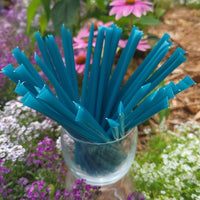 Blueberry Honey Sticks
