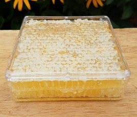 Honey comb, raw honeycomb, honey bee comb, comb honey produced in Ohio. Easy online ordering and quick shipment.