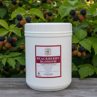 5 lbs. Raw Blackberry Blossom Honey