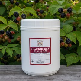 5 lbs. Raw Blackberry Blossom Honey