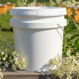 Knotweed Honey in 3.5 gallon bucket