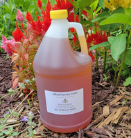 1 Gallon (12 lbs.) Raw Wildflower Honey