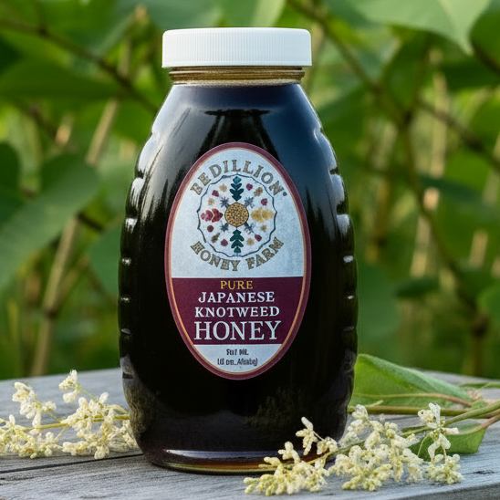Japanese knotweed honey in 16 oz. container