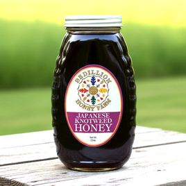 Japanese knotweed honey in 32 oz. container