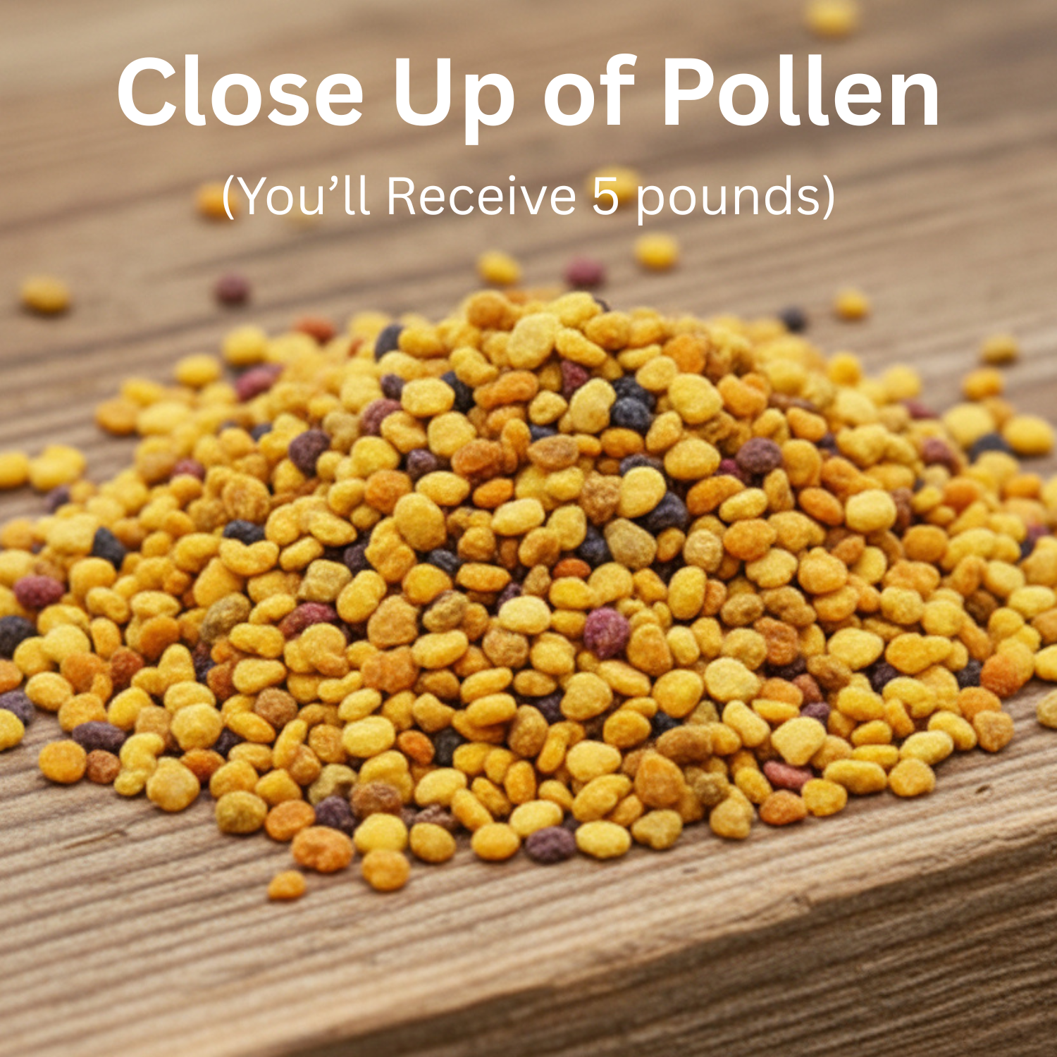 Bee Pollen 5 lbs.| ebeehoney.com