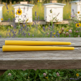 Beeswax Candles 12 Inch Tapers