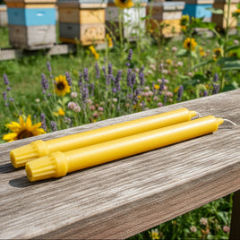 Beeswax Candles Colonial Tapers