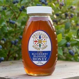 1 lb. Blueberry Blossom Honey