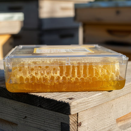 Comb Honey Size View