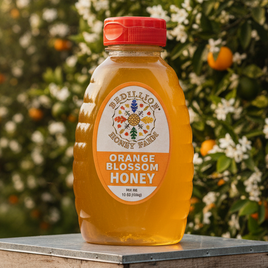Orange Blossom 1 Pound Honey