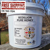 Raw Orange Blossom Honey Gallon Free Ship